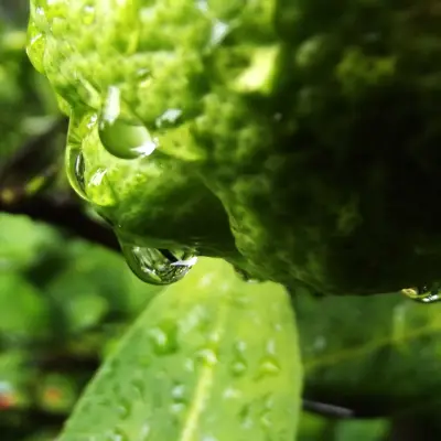 Travel Ritual Essentials