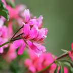 Travel Ritual Essentials