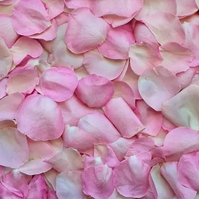 Rose and Ginseng Travel Set