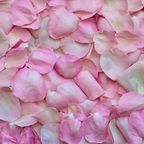 Rose and Ginseng Travel Set